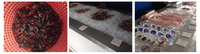 Gulf Coast Seafood